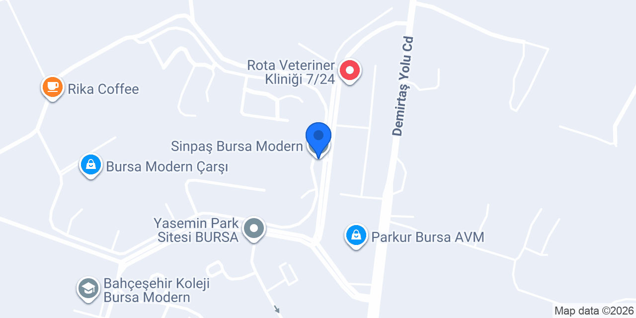 Sinpaş Bursa Modern konumu