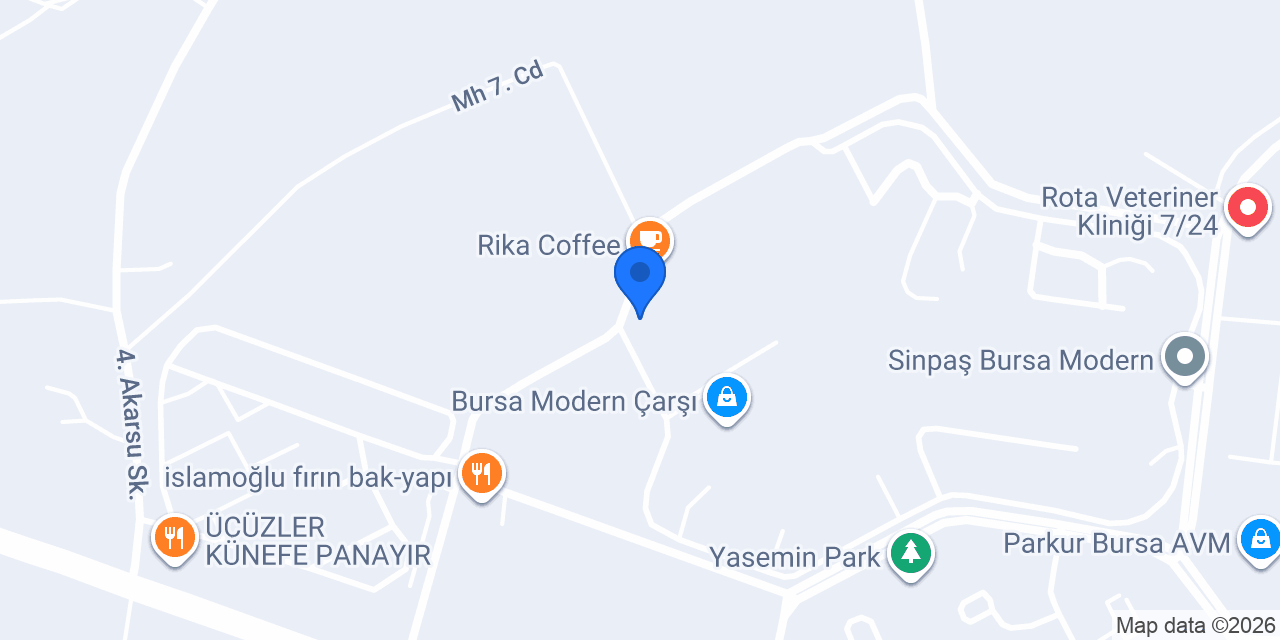 Domino's Pizza Bursa Panayır konumu
