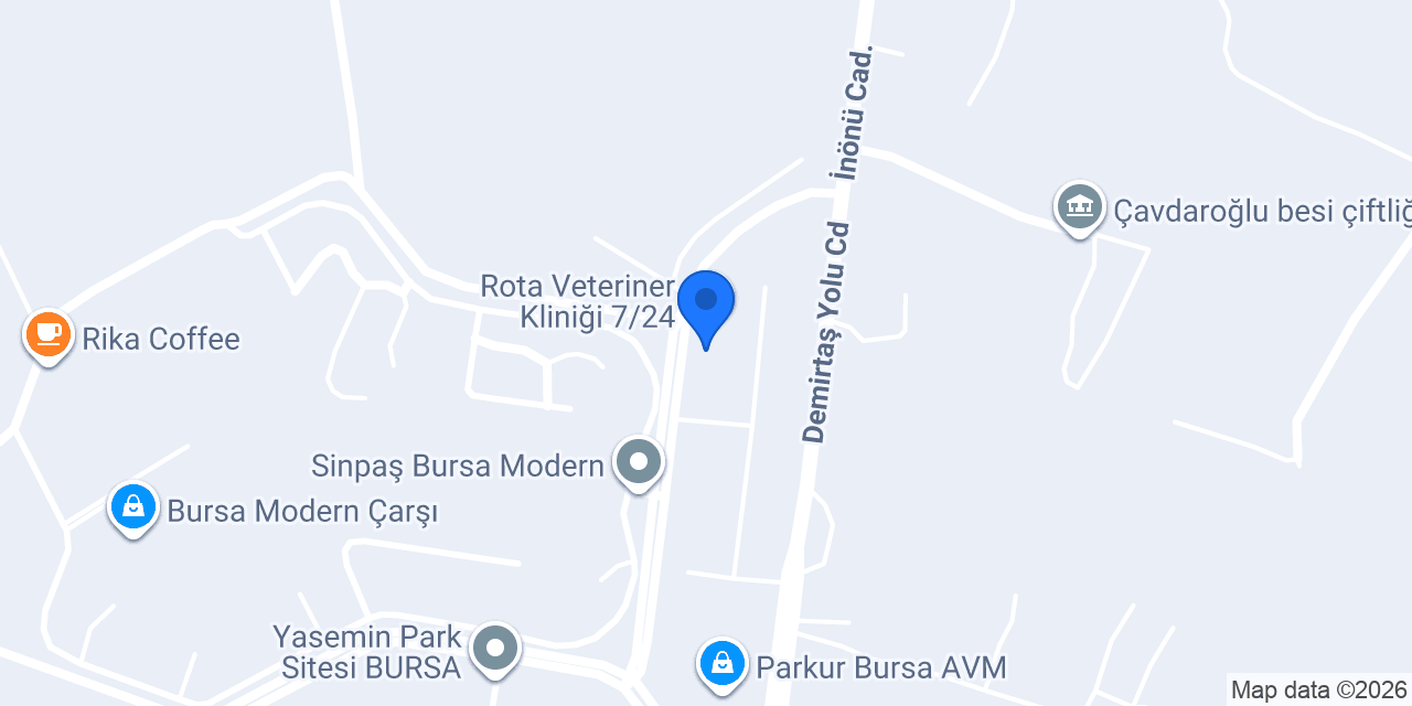 ŞİRİN FIRIN Pasta & Cafe konumu