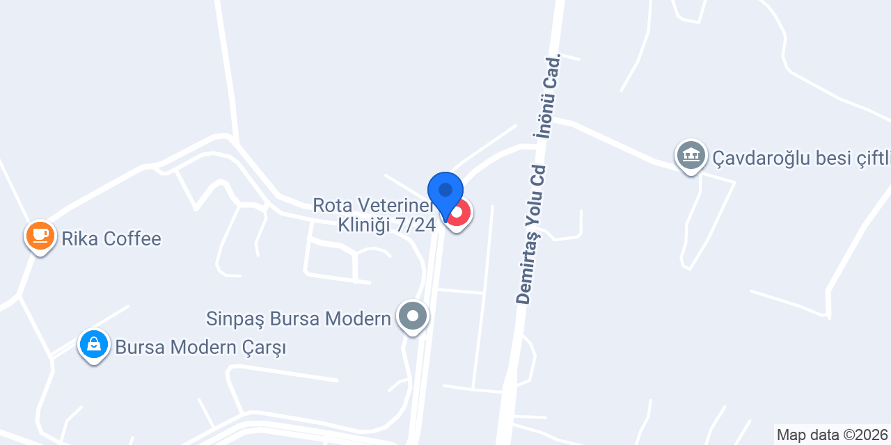AY Kuru Temizleme konumu