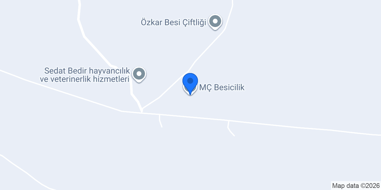 MÇ Besicilik konumu