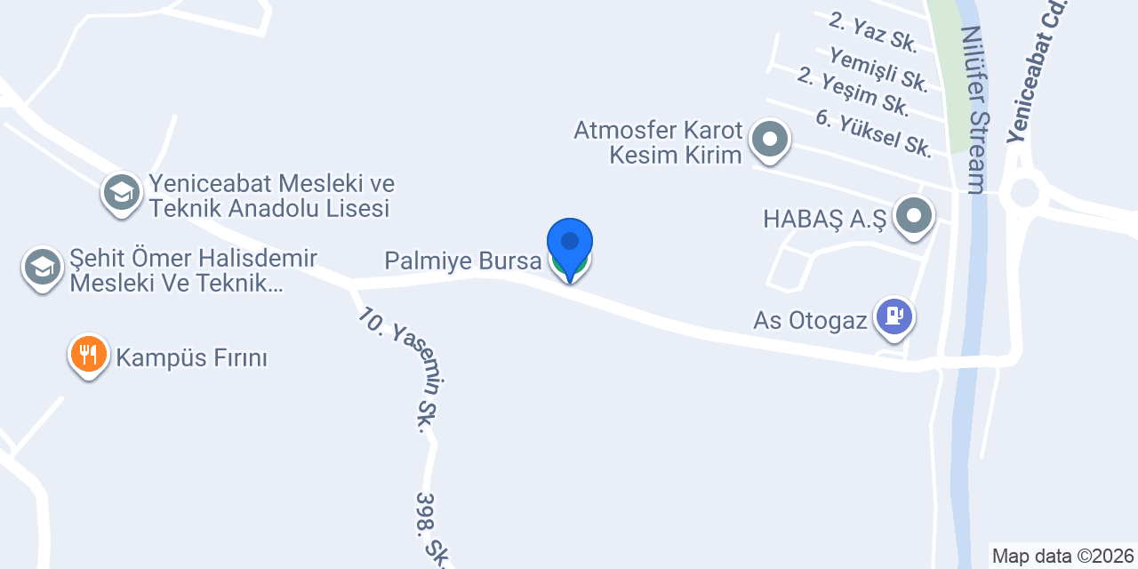 Palmiye Bursa konumu