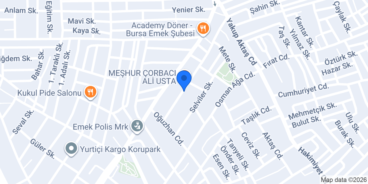 Bursa Tesisat konumu