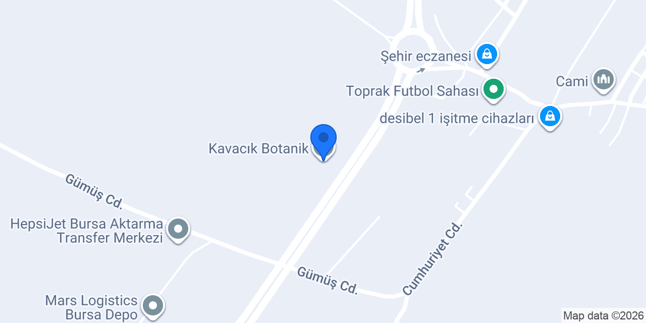 Kavacık Botanik konumu