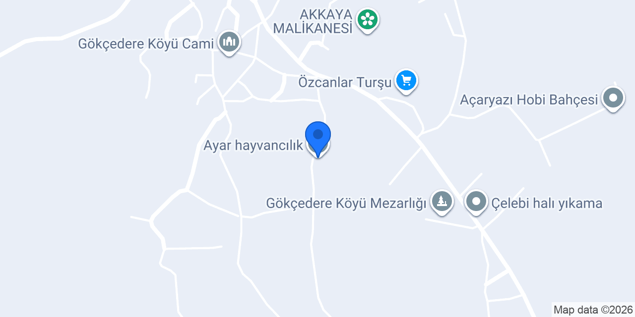 Ayar hayvancılık konumu