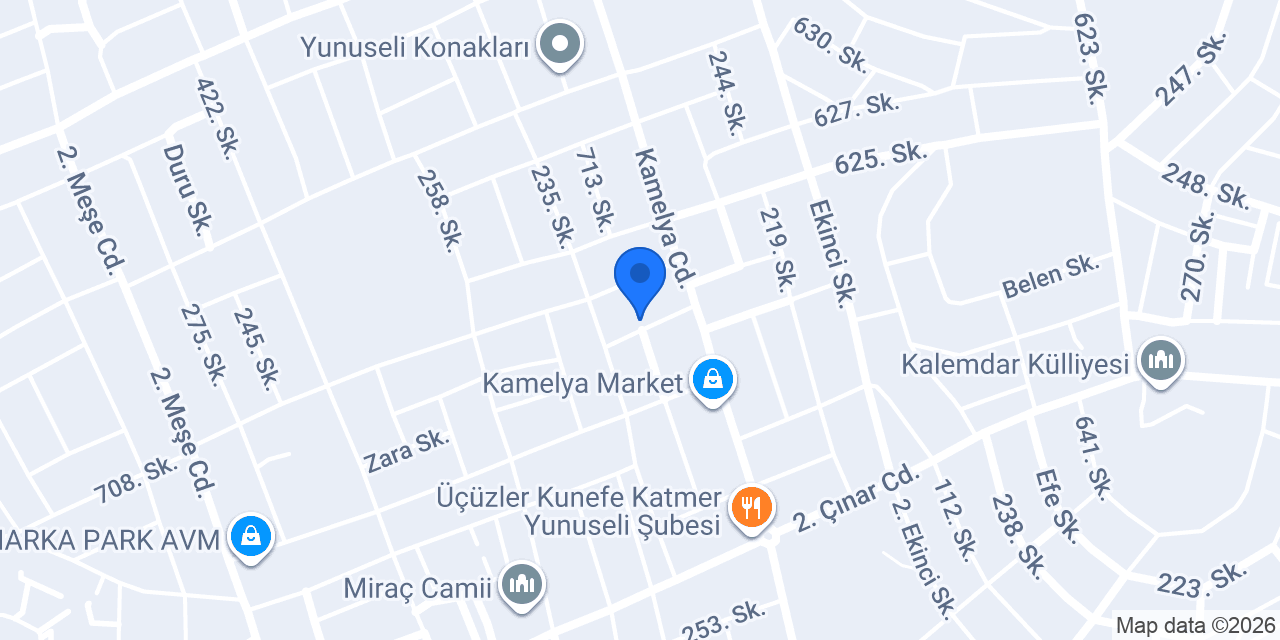 Bursaekspresilaçlama.com.tr konumu