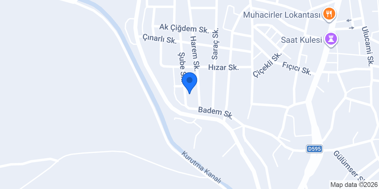 Bursa Mısır Silajı konumu