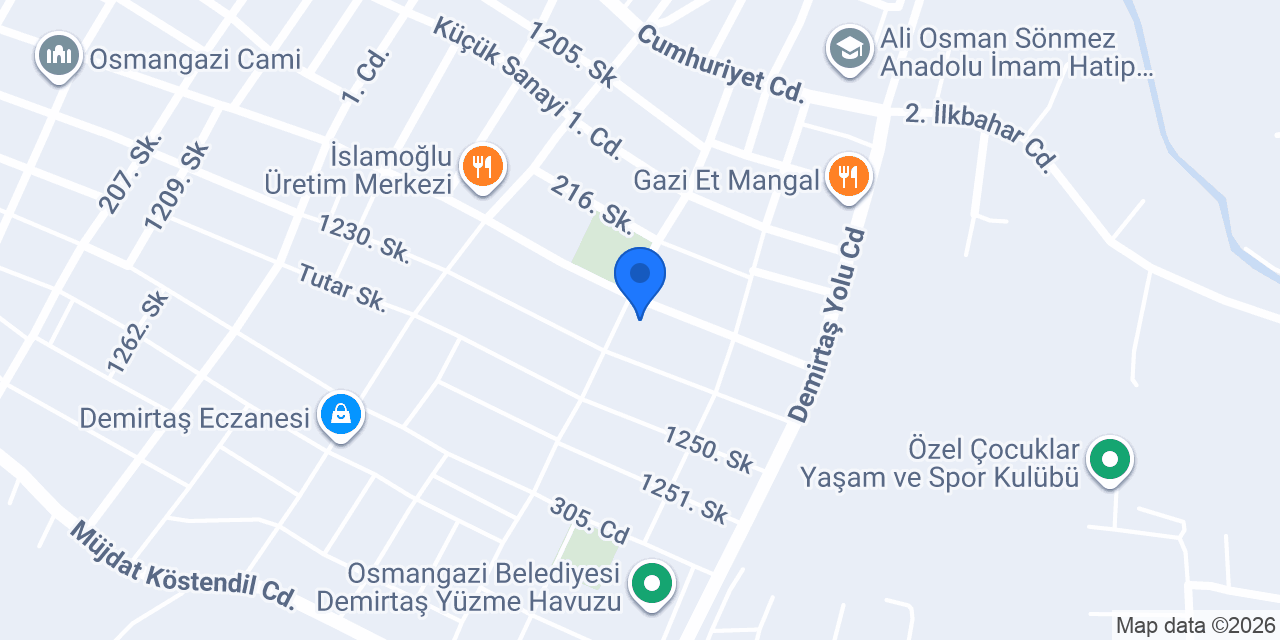 DOST EMLAK DEMİRTAŞ konumu