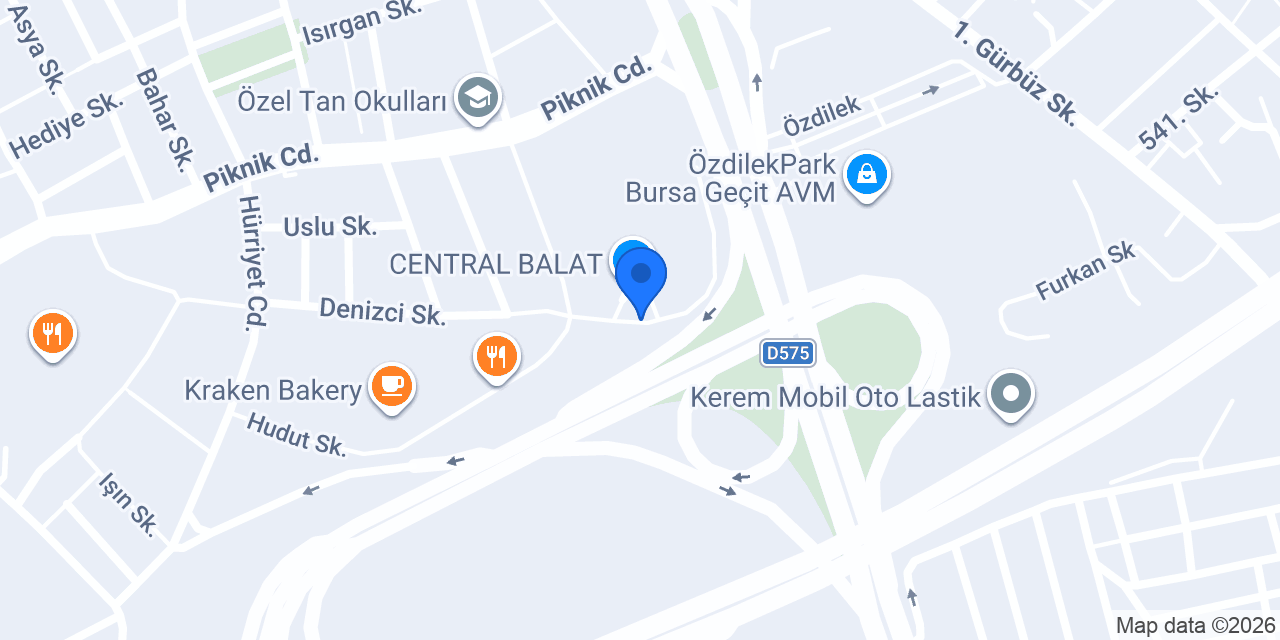 Bursa Papatya Kuru Temizleme CENTRAL BALAT Şube konumu