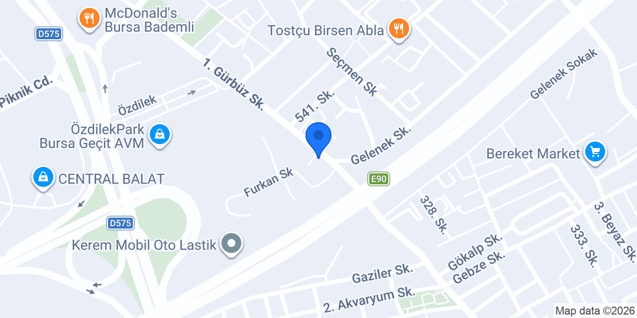 Asya Çiçek konumu