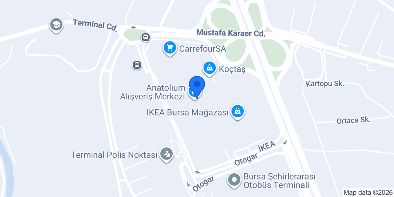 Bursa konumu