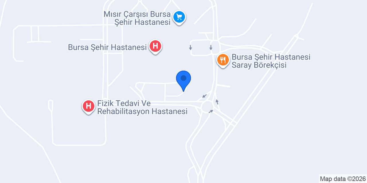 Bursa Entegre Sağlık Kampüsü konumu