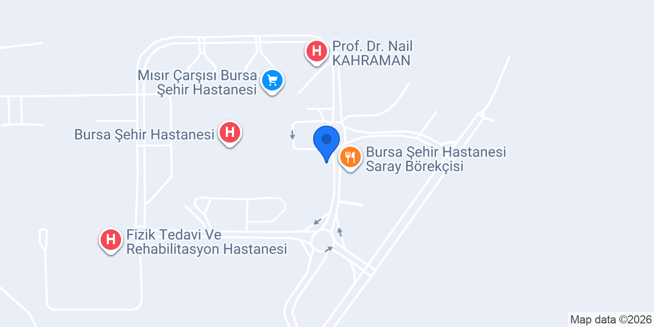 Bursa Şehir Hastanesi Taksi konumu