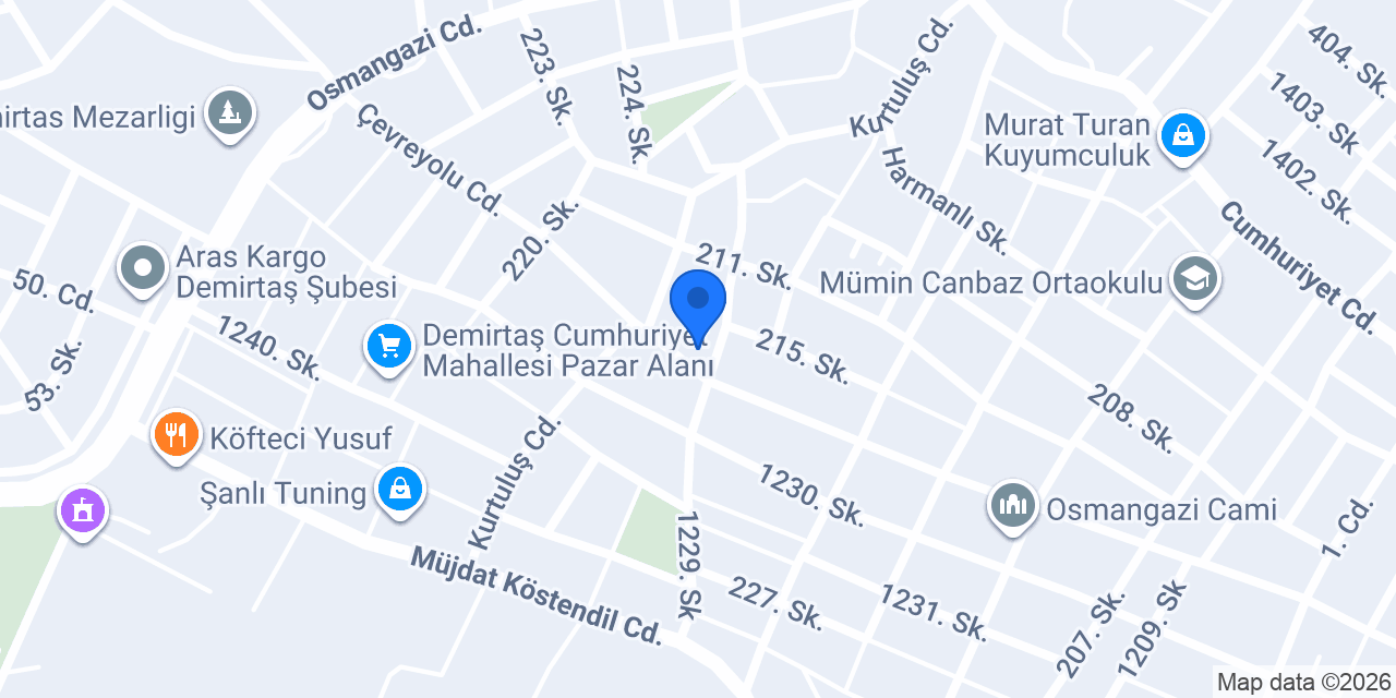 Domino's Pizza Demirtaş konumu