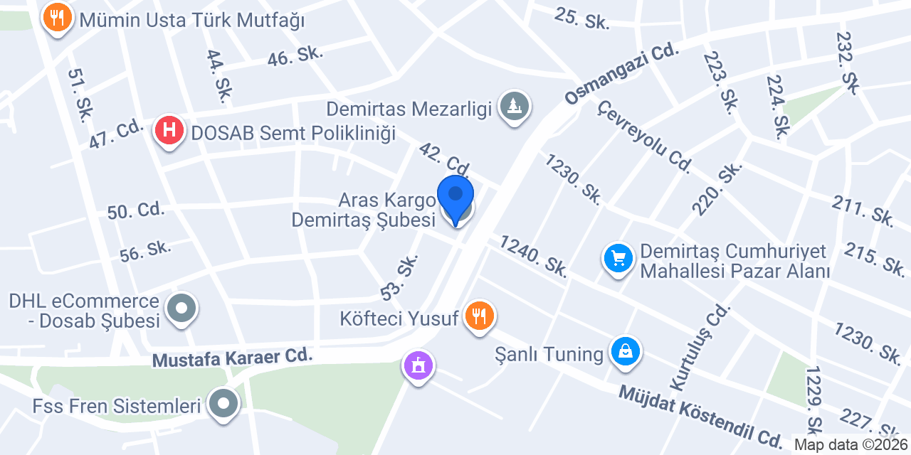 Aras Kargo Demirtaş Şubesi konumu