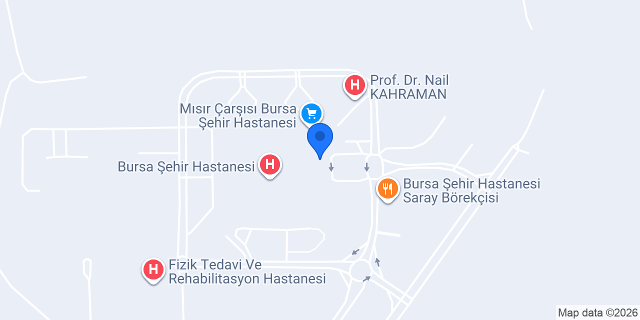 Lavanta Çiçek Bursa konumu