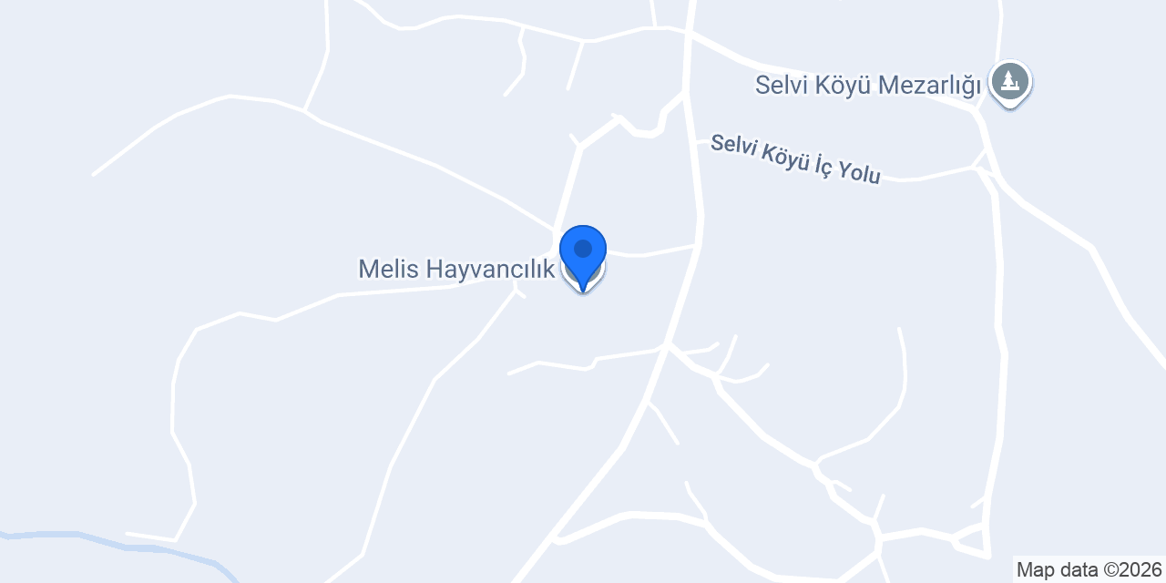Melis Hayvancılık konumu