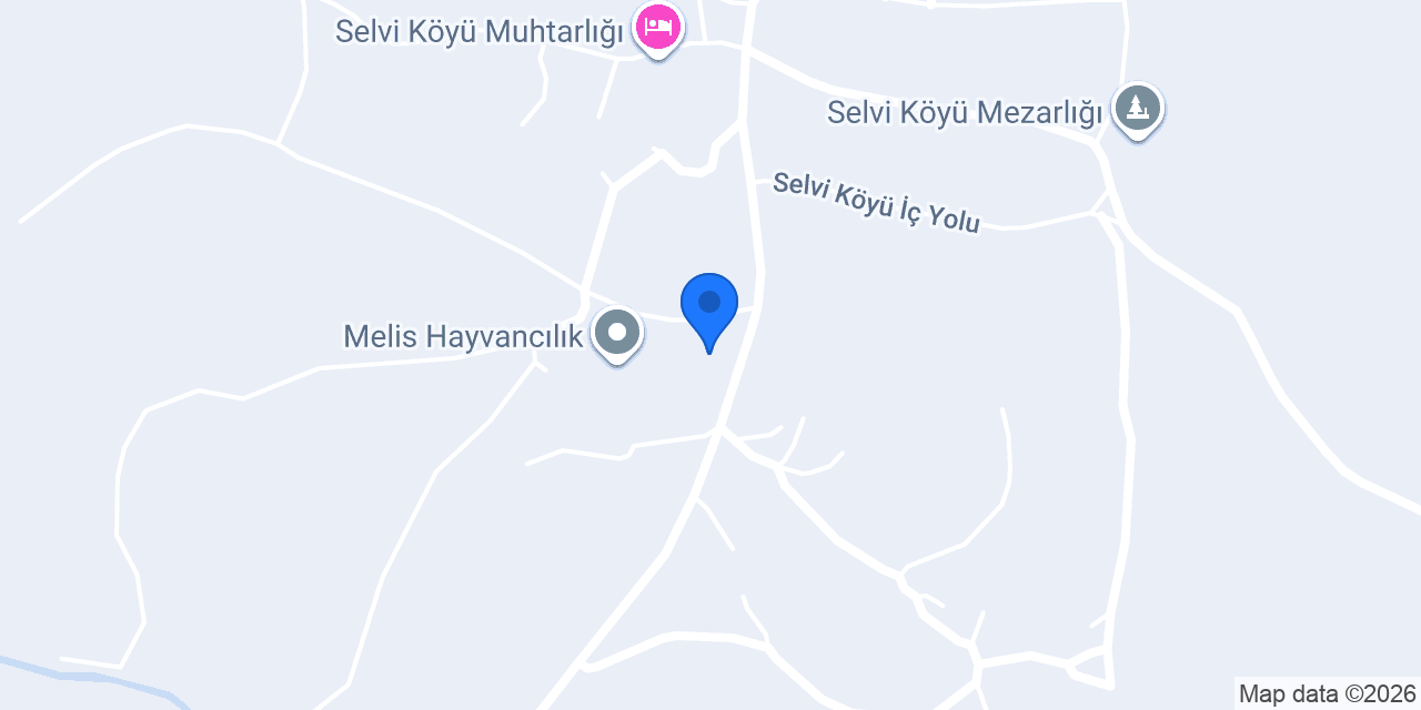 Selvi Köyü İlkokulu konumu