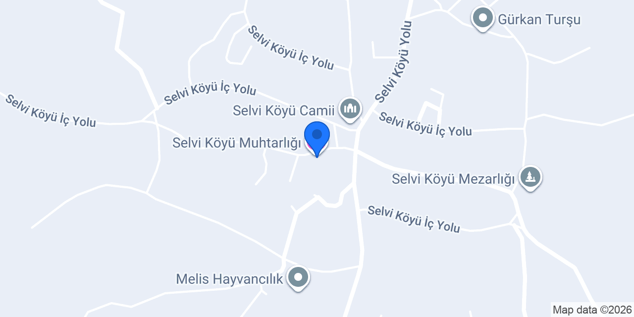 Selvi Köyü Muhtarlığı konumu