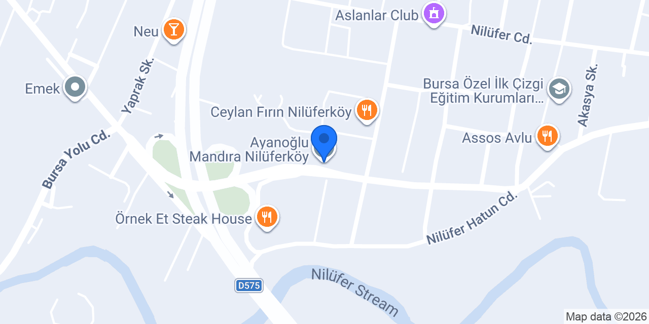 Ayanoğlu Mandıra Nilüferköy konumu