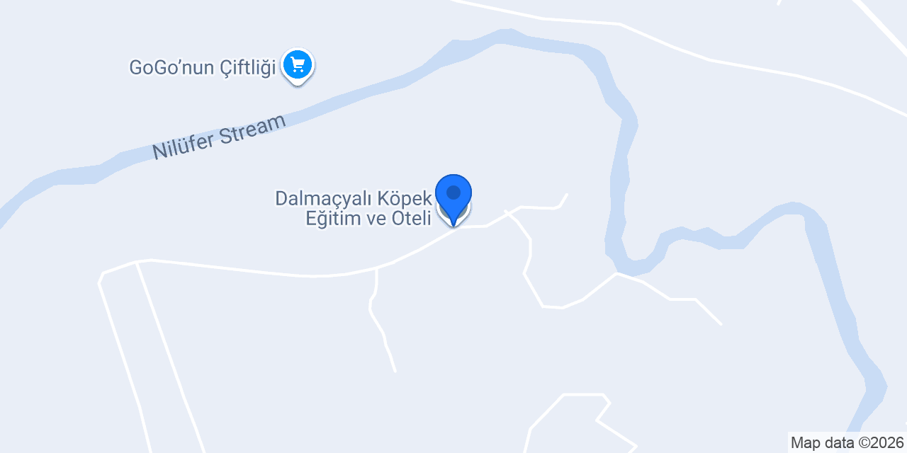 Dalmaçyalı Köpek Eğitim ve Oteli konumu