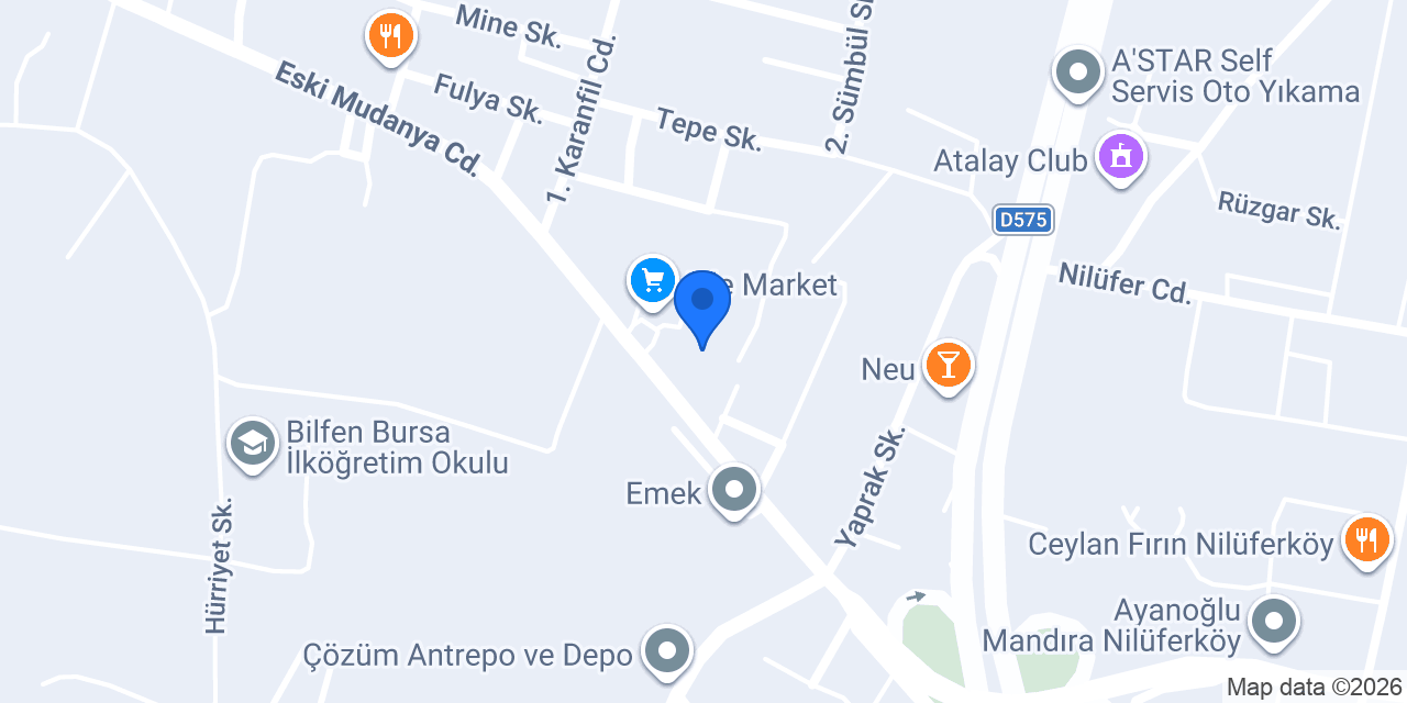 Bursa Çocuk Üniversitesi Bademli Kampüsü konumu