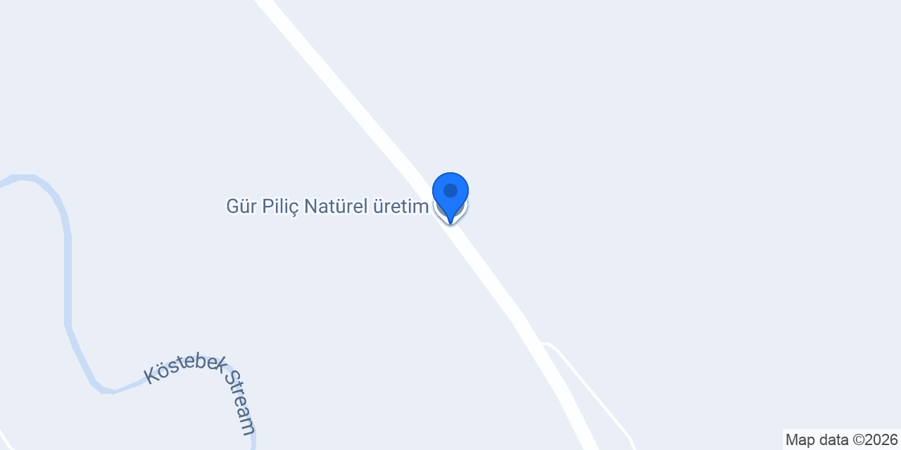 Gür Piliç Natürel üretim konumu