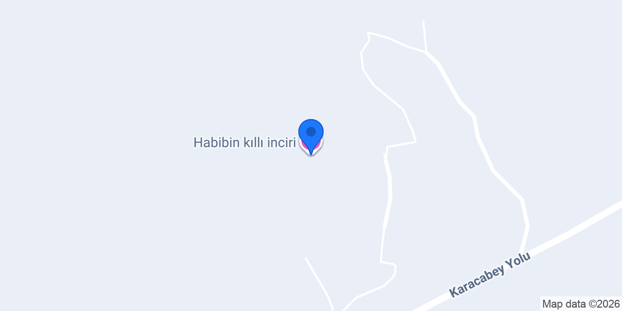 Habibin kıllı inciri konumu