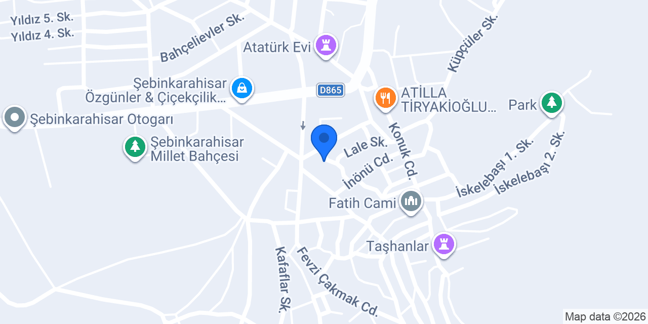 ÇALIŞKAN ELEKTRİK konumu