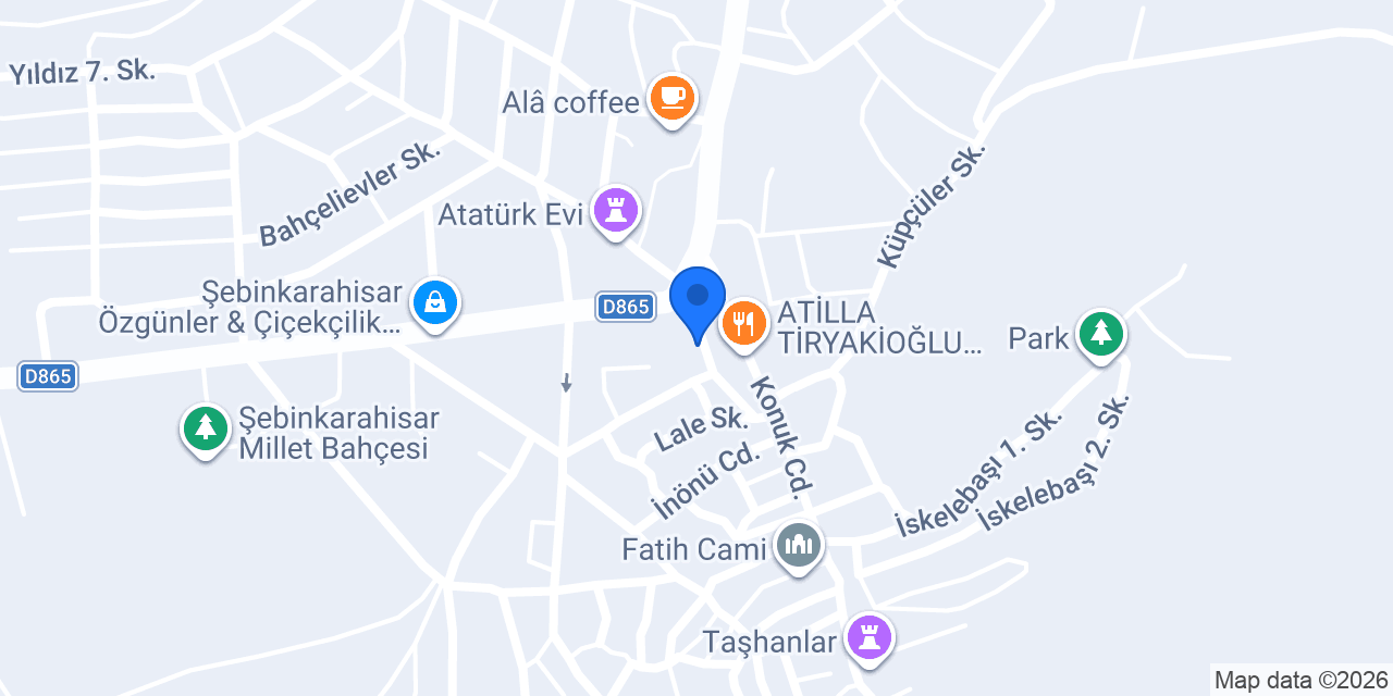 Asya Elektrik konumu