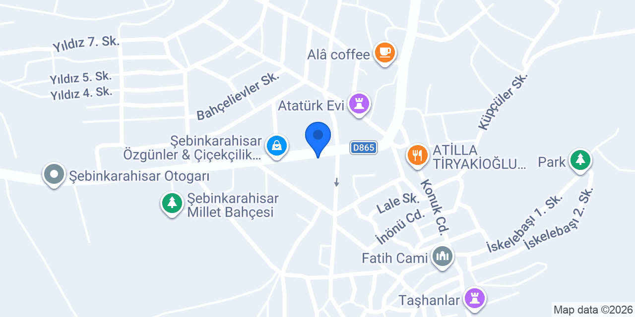 Özel Şebinkarahisar Sürücü Kursu konumu