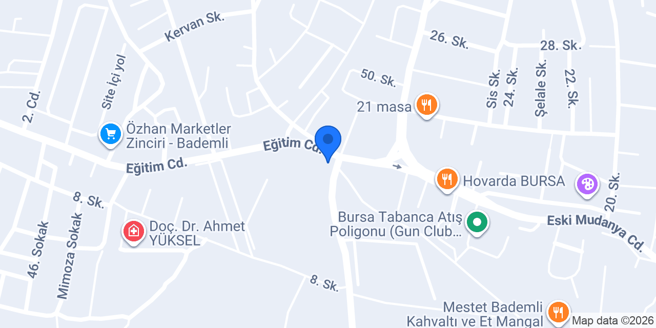 BADEMLİ LOKANTASI konumu
