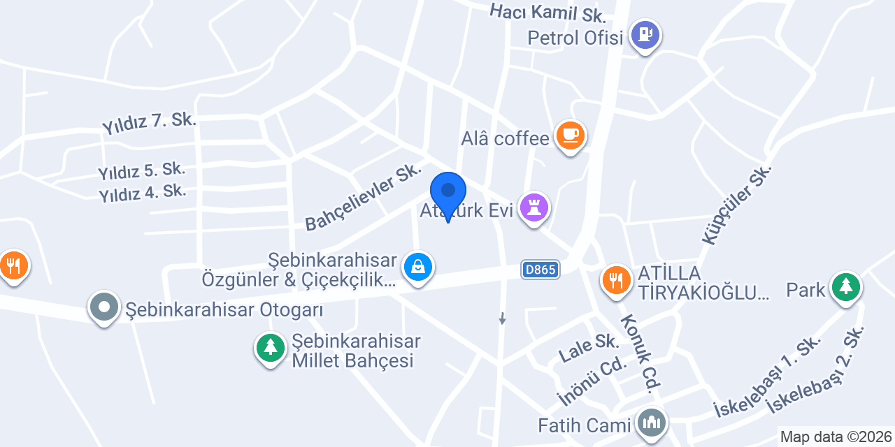 Şebinkarahisar Adliyesi konumu