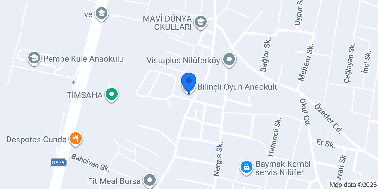 Bilinçli Oyun Anaokulu konumu