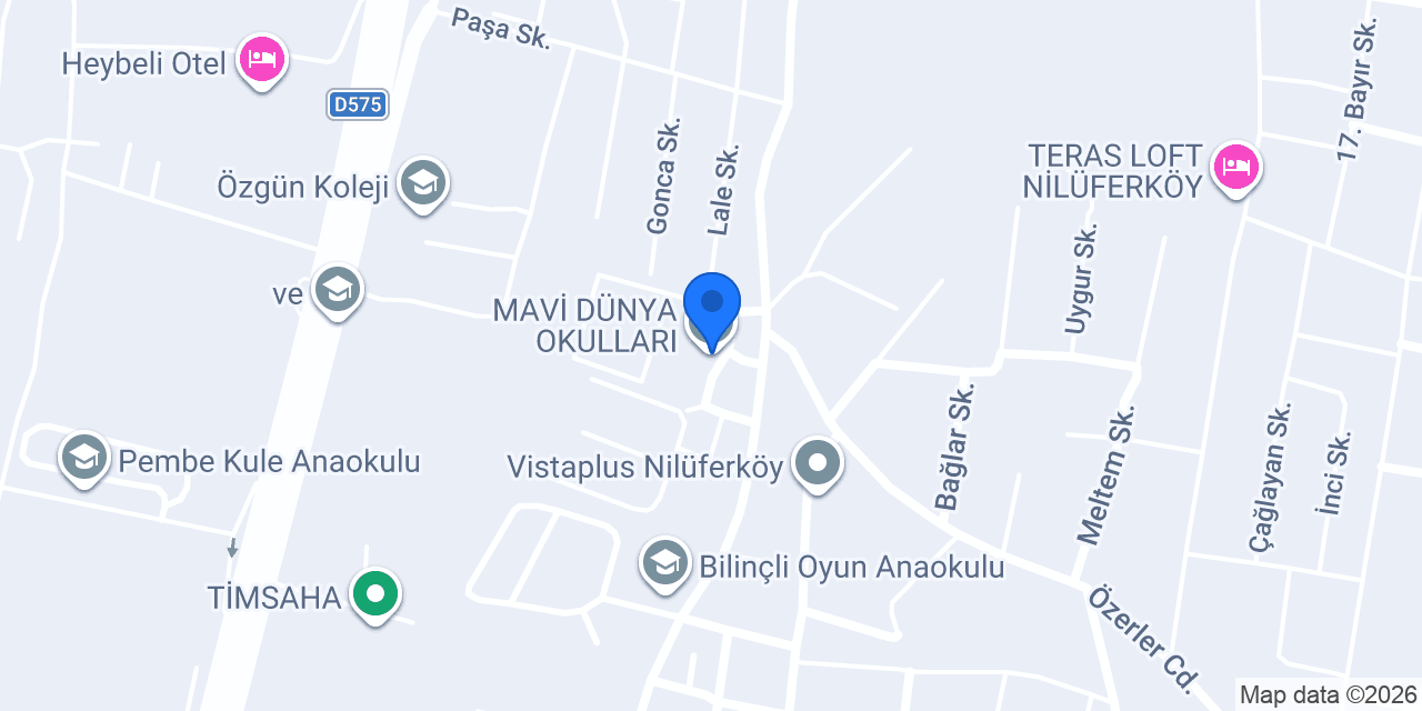MAVİ DÜNYA OKULLARI konumu