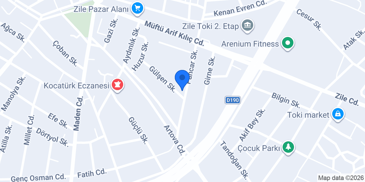 ZİLE'li Gezgin konumu