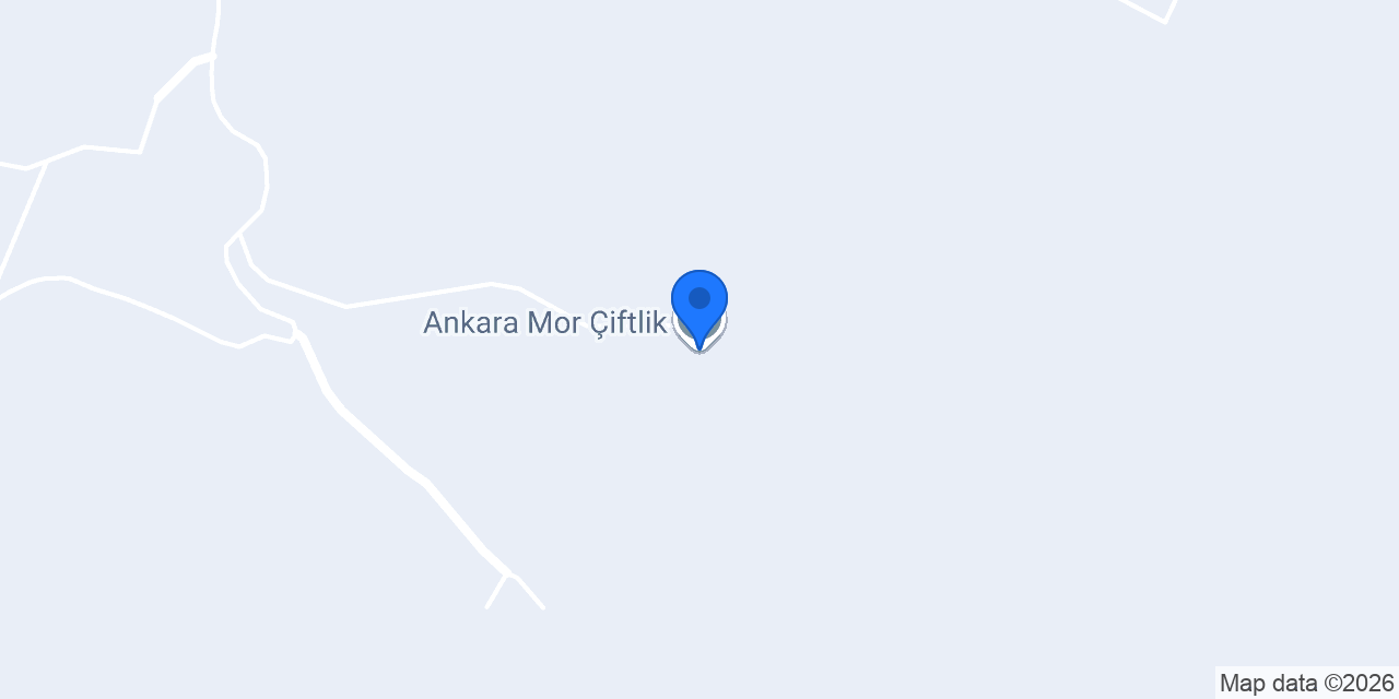Ankara Mor Çiftlik konumu