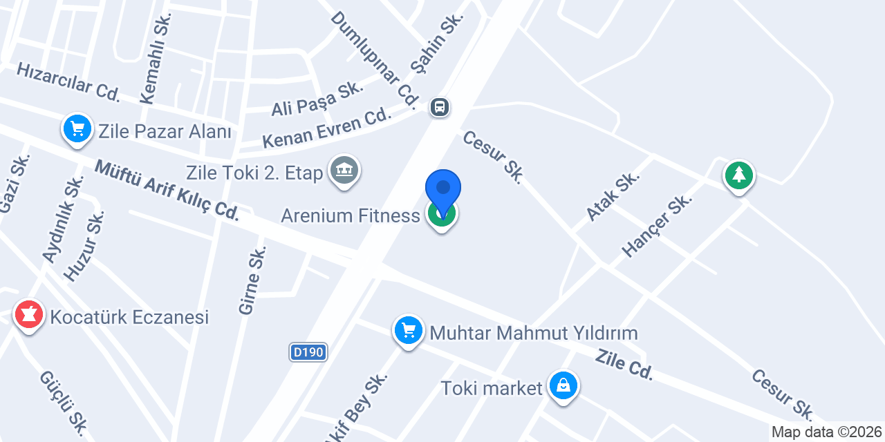 ZİLE SOF CAR konumu