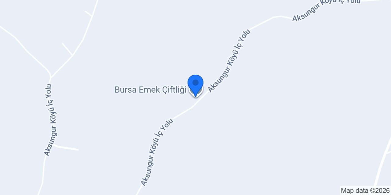 Bursa Emek Çiftliği konumu