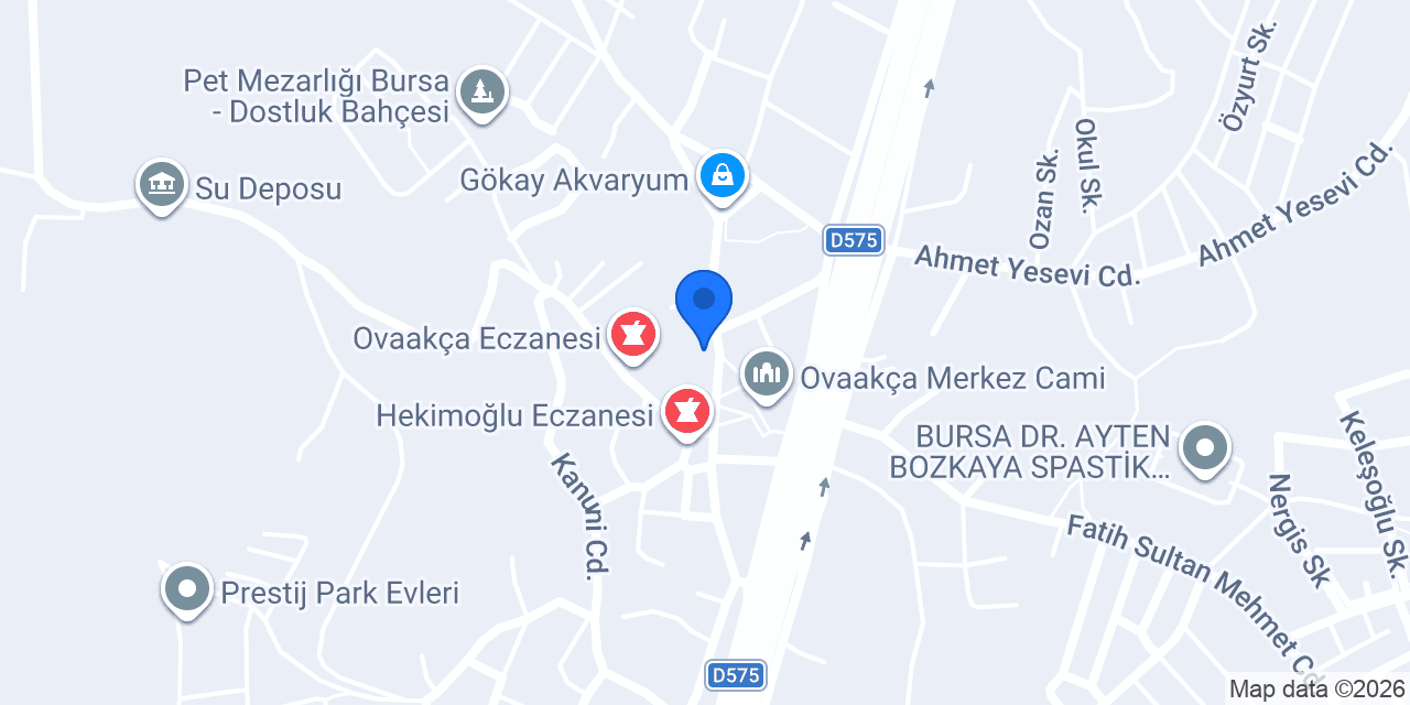 Rota AVM konumu