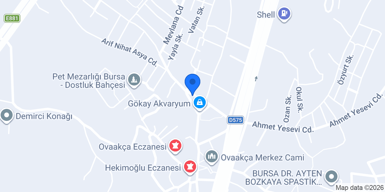 yıldız dondurma konumu
