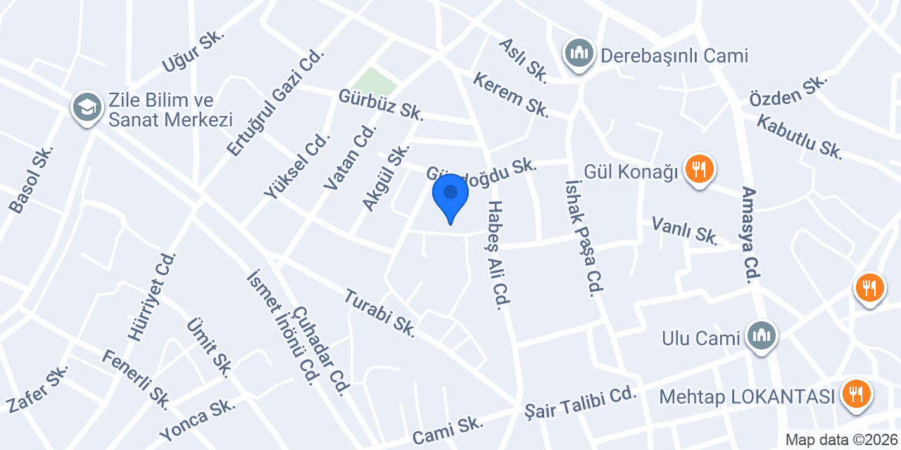 ZİLE VİNÇ konumu