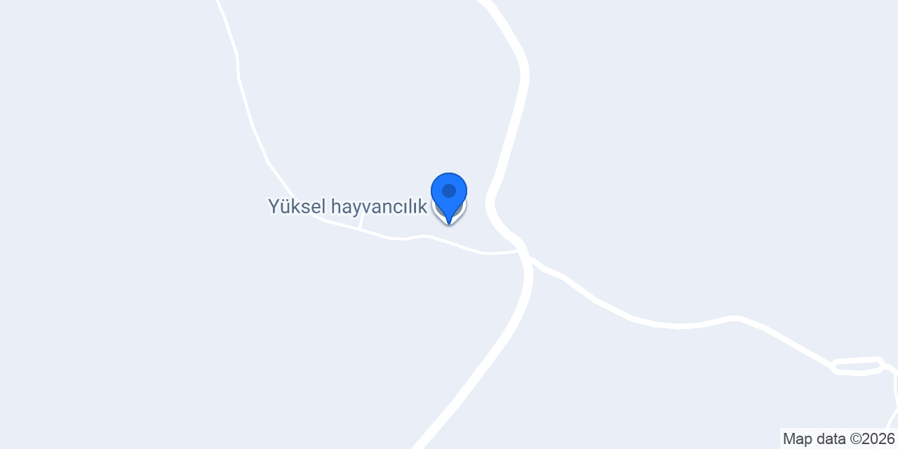 Yüksel hayvancılık konumu
