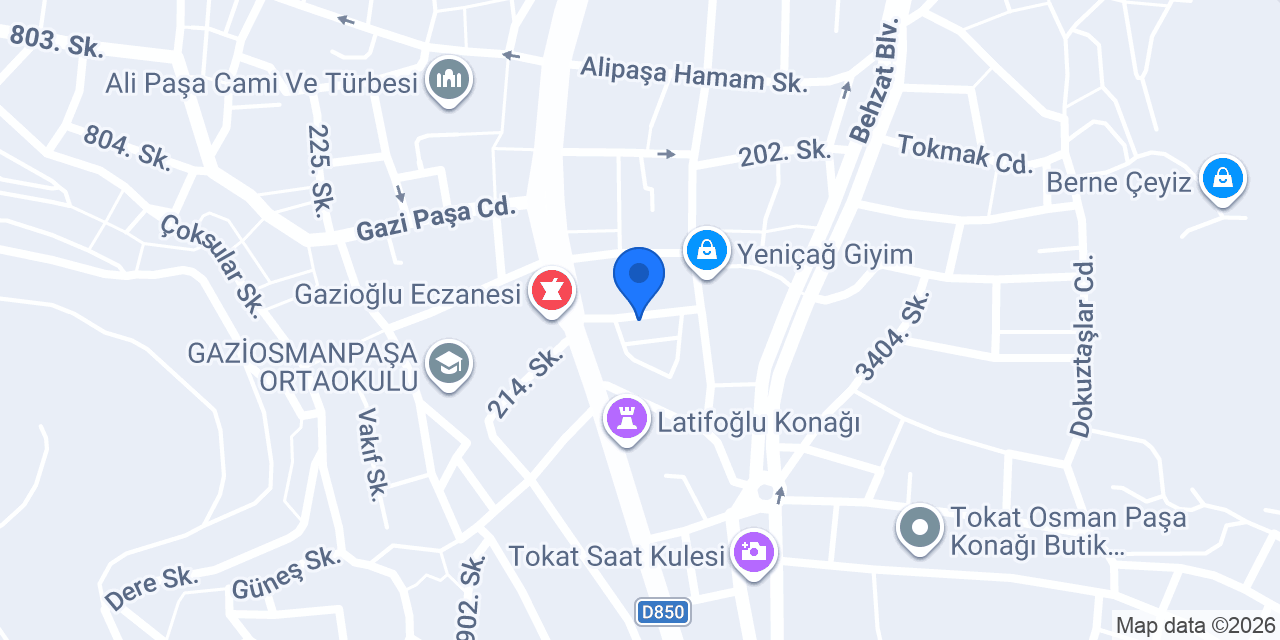 Mega elektronik konumu