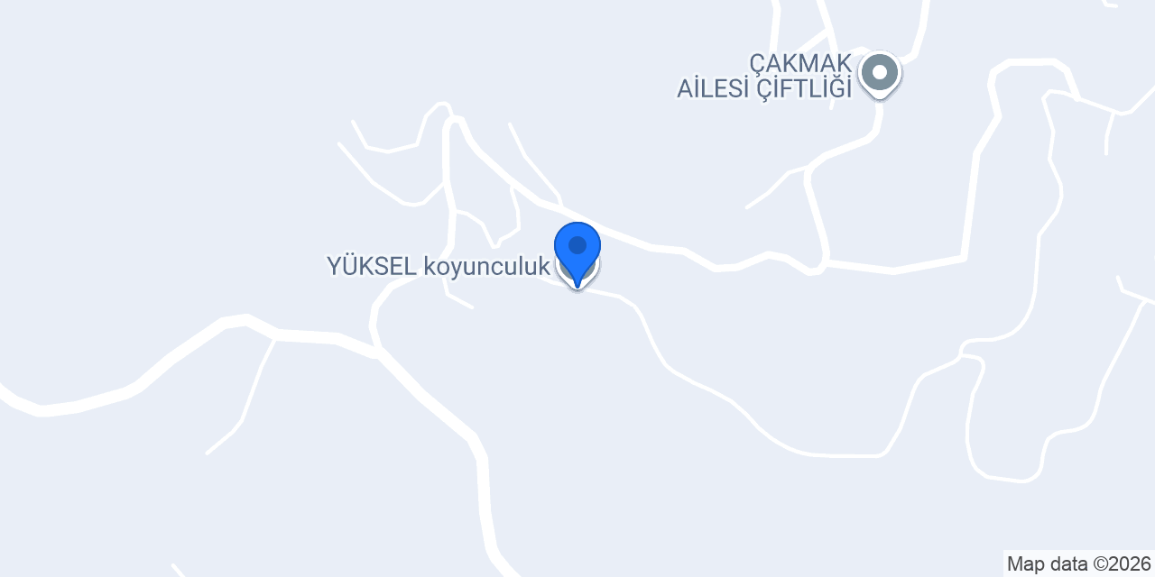YÜKSEL koyunculuk konumu
