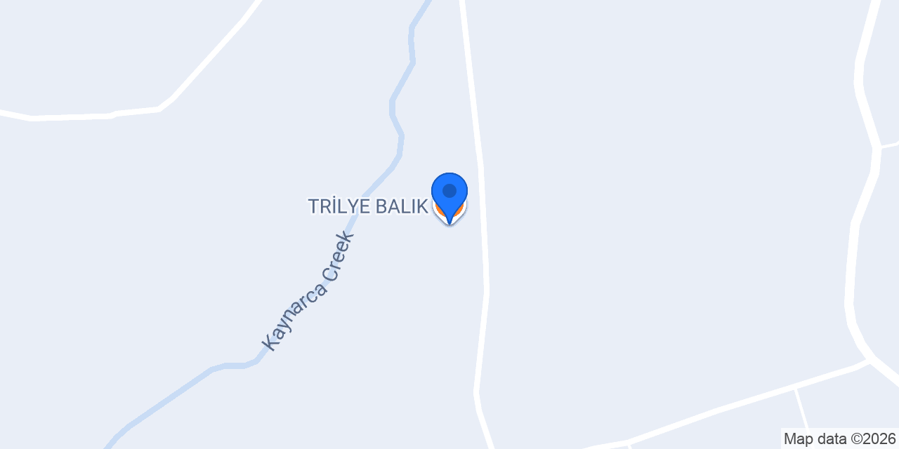 TRİLYE BALIK konumu