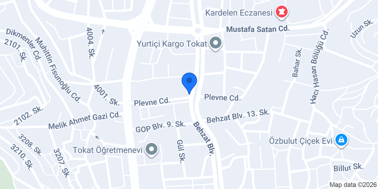 Difamsa Yönetim konumu