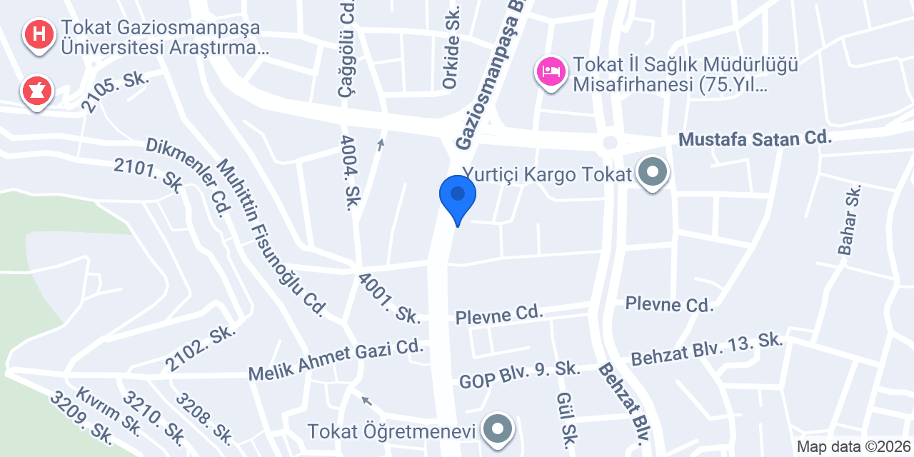 Türkiye Finans Tokat Şubesi konumu