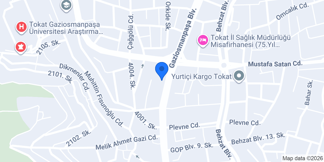 Tokat Mersin Tantuni Çorba konumu