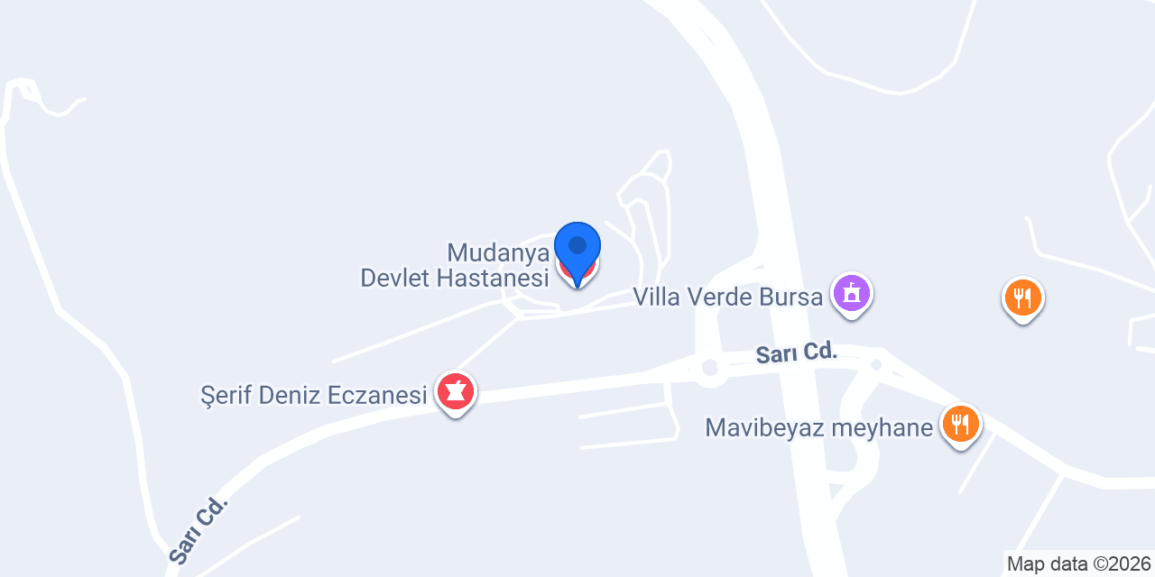 Mudanya Devlet Hastanesi konumu